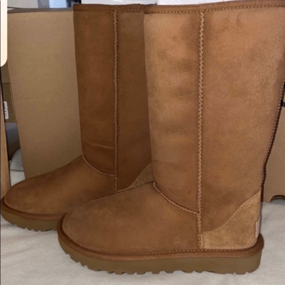 UGG CLASSIC TALL
